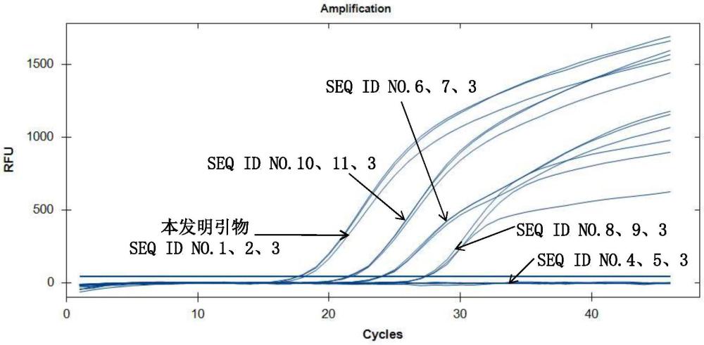 唐菖蒲伯克霍爾德氏菌椰毒假單胞菌酵米面亞種微滴數(shù)字PCR引物組、探針及其應(yīng)用