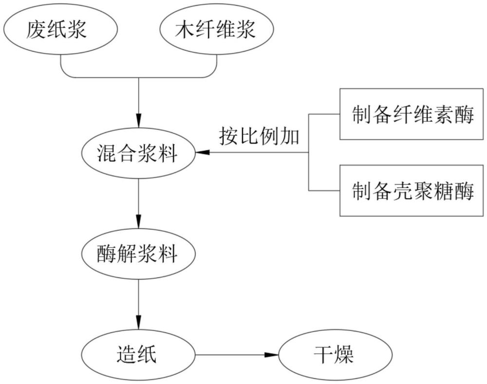 一種高強(qiáng)瓦楞紙的制備方法與流程