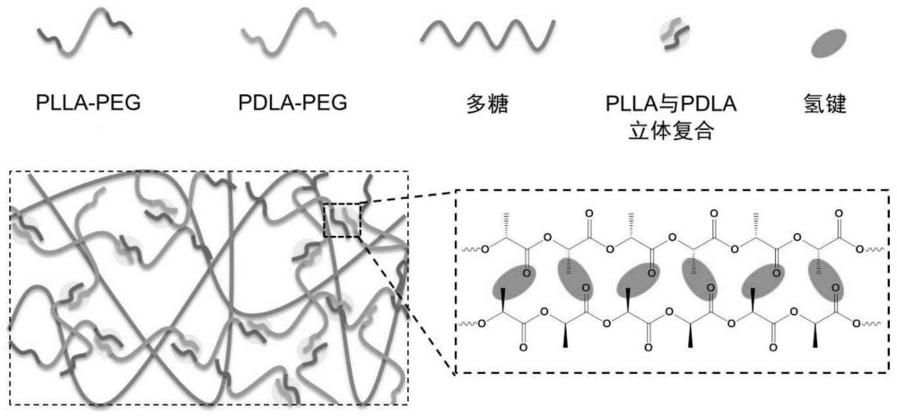 一種基于立體復(fù)合作用的凝膠及其制備方法和應(yīng)用與流程