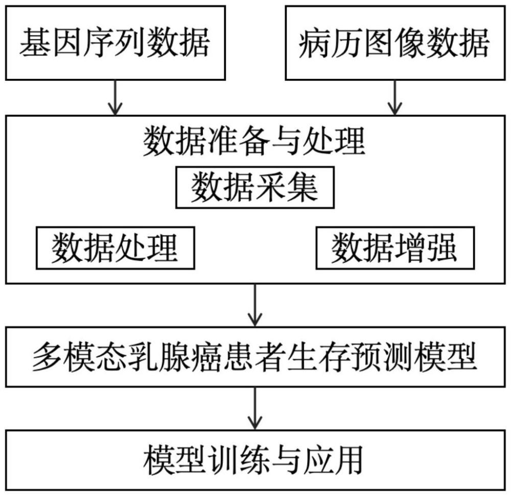 一种基于病理图像的多模态乳腺肿瘤风险预测方法及系统与流程