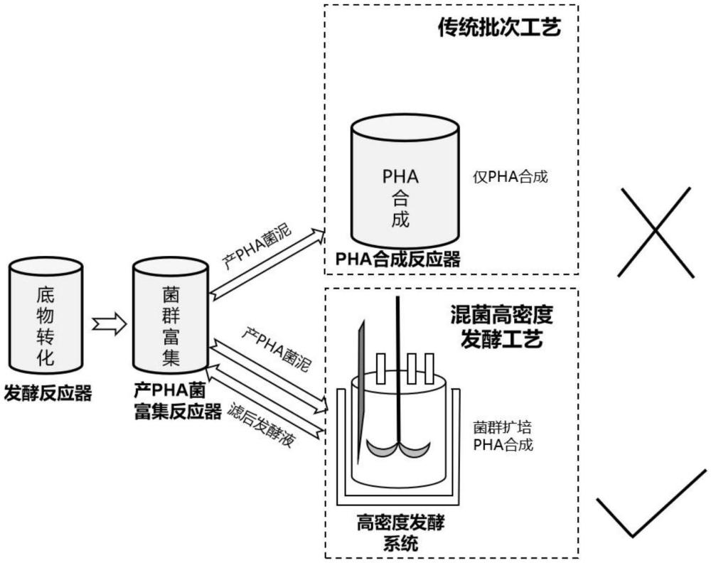 一種同步實(shí)現(xiàn)生物量快速增長(zhǎng)和高含量PHA合成的混合菌群高密度發(fā)酵工藝