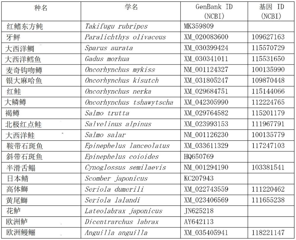 制作海水鱼类的雄性不育个体的方法、防止海水鱼类繁殖的方法和不育的海水鱼类雄性个体与流程