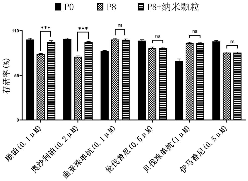 一種基于鼠李糖乳桿菌來(lái)源的納米顆粒的藥物分析系統(tǒng)的制作方法