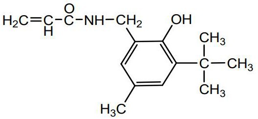 一種辣素衍生物改性中空纖維膜的制備工藝的制作方法