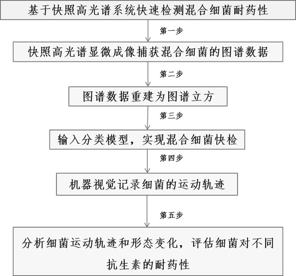 基于快照高光譜系統(tǒng)快速檢測混合細(xì)菌耐藥性的方法