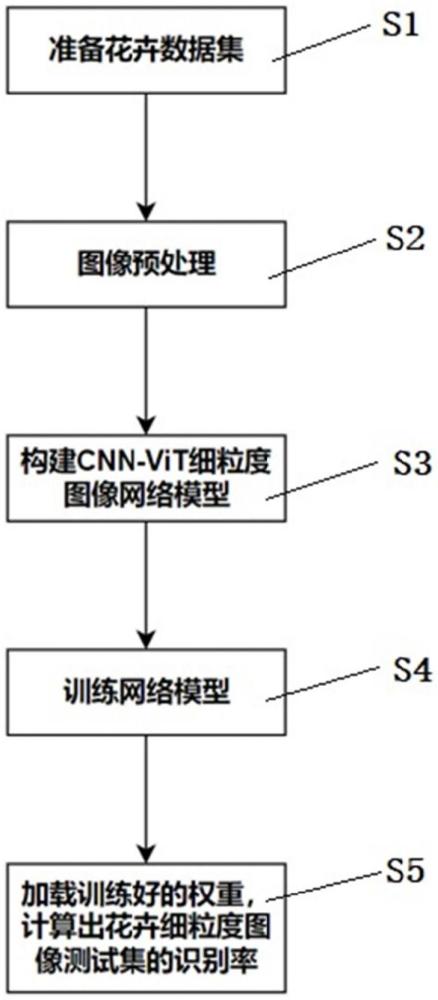 一种基于CNN和ViT的细粒度花卉图像分类方法