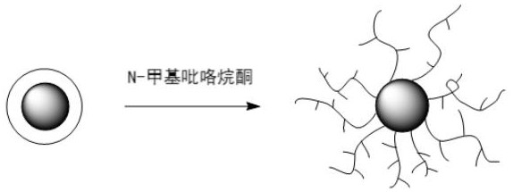 鋰離子電池正極無氟粘結(jié)劑及制備方法、電池正極及電池與流程