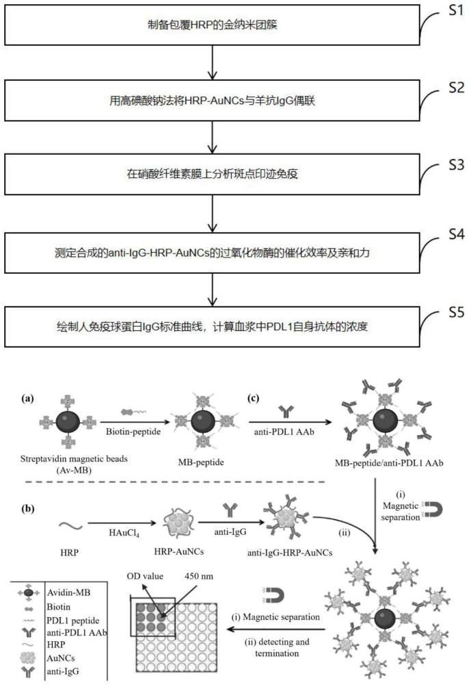 基于金纳米簇的血浆自身抗体新型检测系统及方法