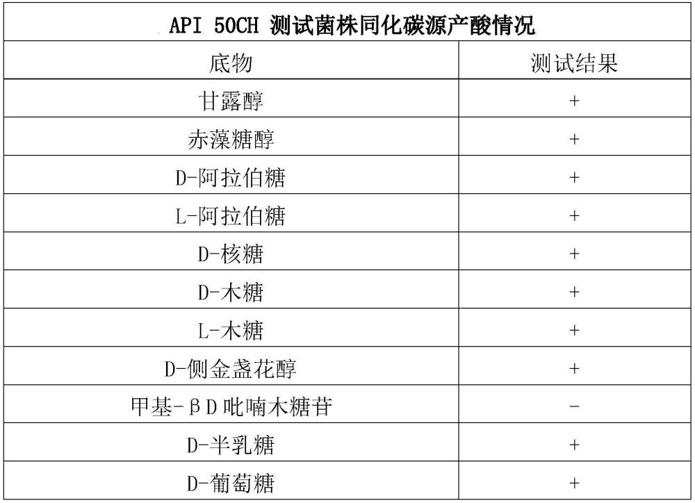 光合西塞菌新物种及其应用的制作方法