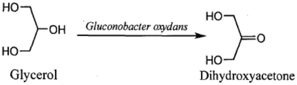 一种提高二羟基丙酮产量的菌株代谢改造方法与流程