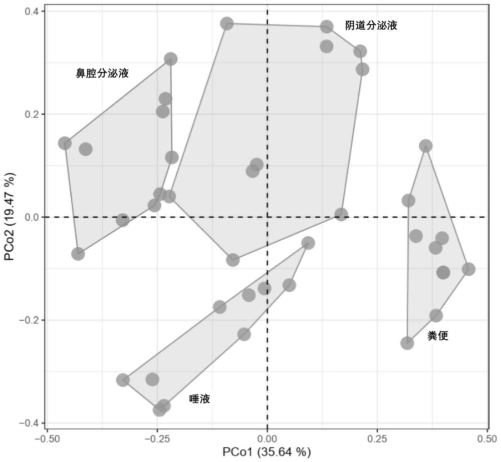 抗生素抗性基因在生物检材种类鉴别中的用途