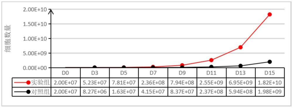 一種輻照PBMC提高NK細(xì)胞擴(kuò)增培養(yǎng)的方法與流程