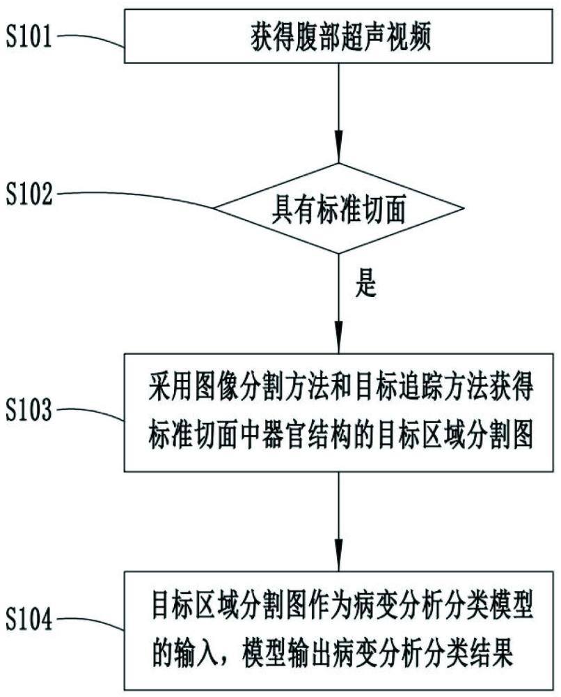 超聲圖像分析方法、系統(tǒng)、設備及存儲介質(zhì)與流程