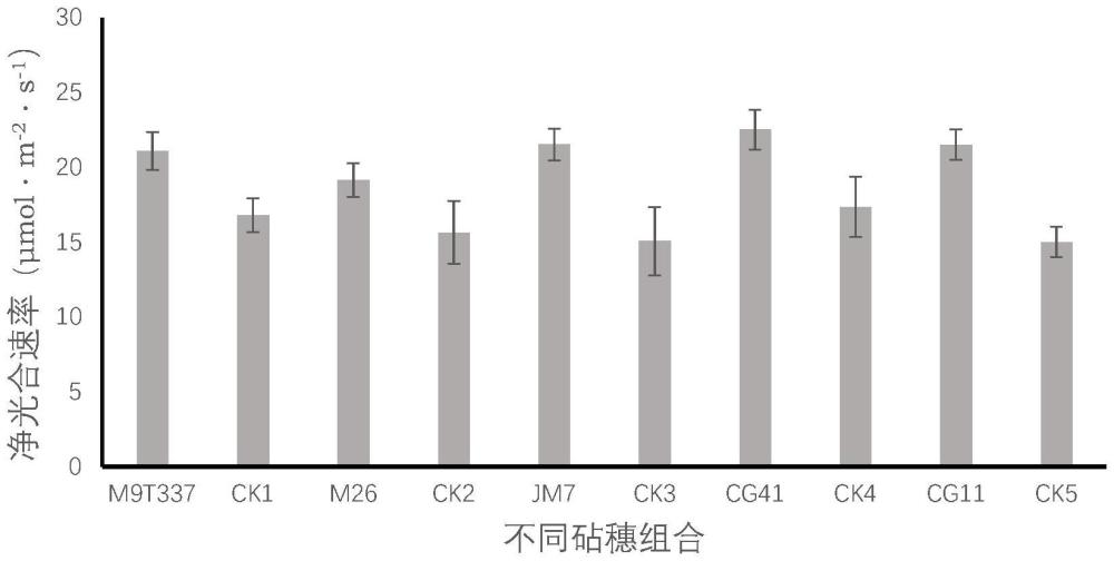 一種防止蘋果采前落果的制劑及使用方法與流程