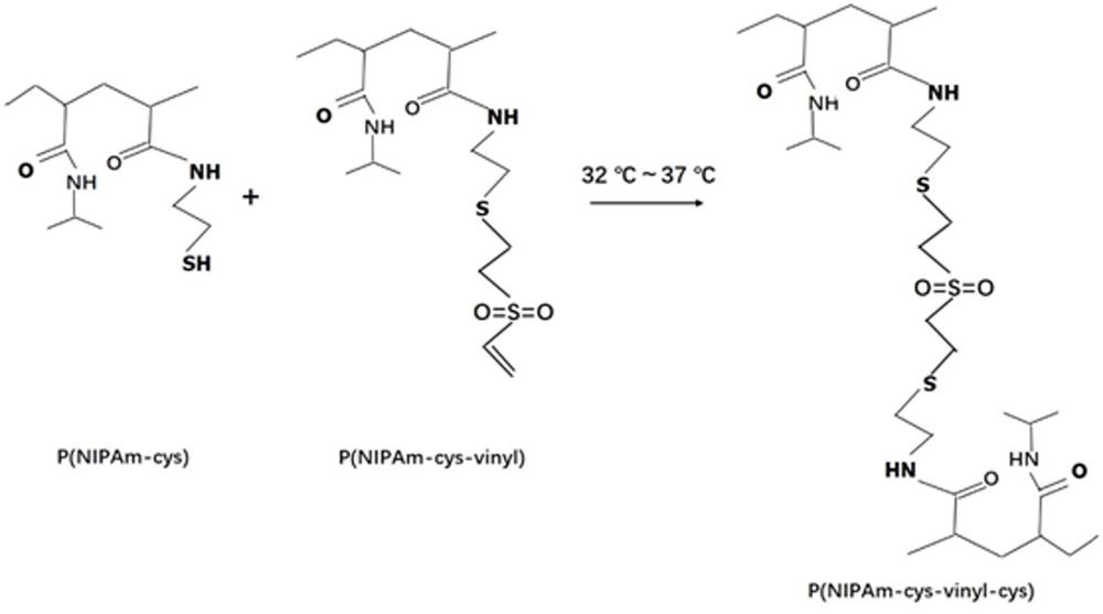 一種復(fù)合型可注射水凝膠及其制備和應(yīng)用方法