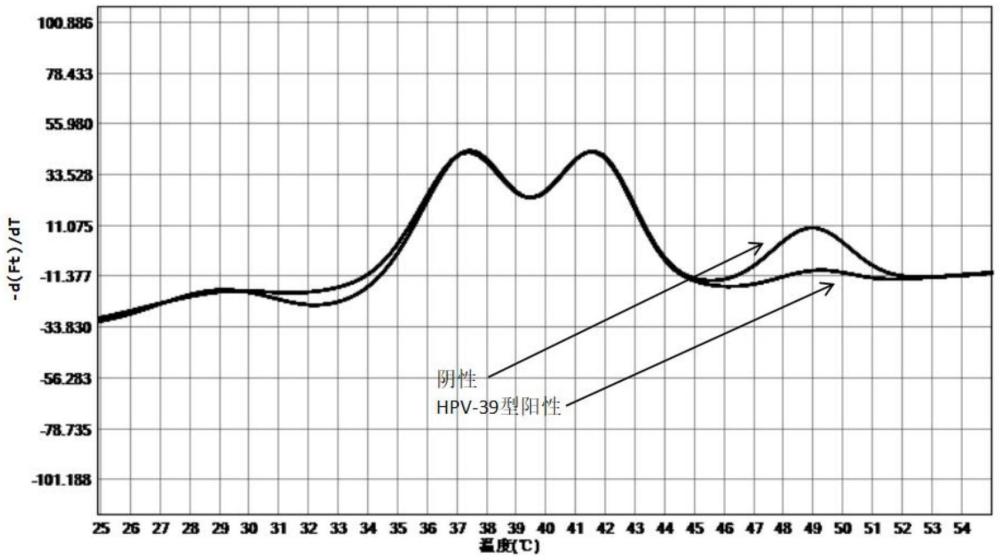 一種熔解曲線分析結(jié)合凍干術(shù)進(jìn)行HPV亞型的檢測方法和應(yīng)用與流程