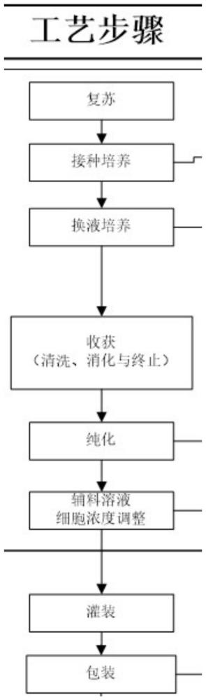 含有臍帶間充質(zhì)干細胞的產(chǎn)品、其培養(yǎng)篩選方法以及應(yīng)用與流程