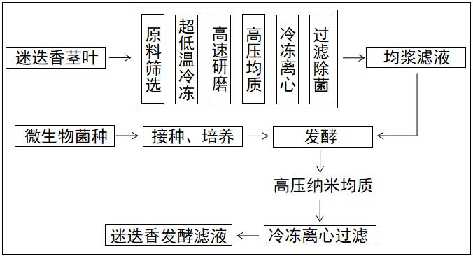 一種迷迭香發(fā)酵濾液的制備方法和應(yīng)用