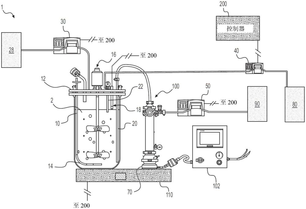 灌注生物反应器及相关使用方法与流程