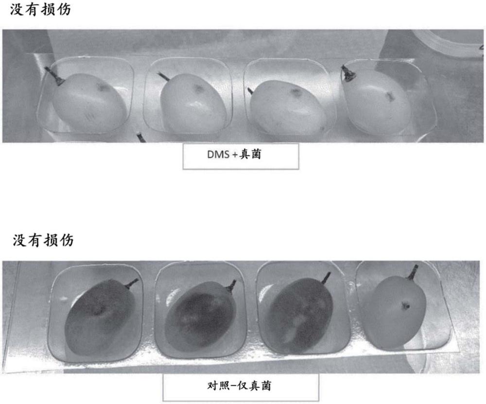 用于宿主植物的基于微藻的生物保护组合物和方法与流程