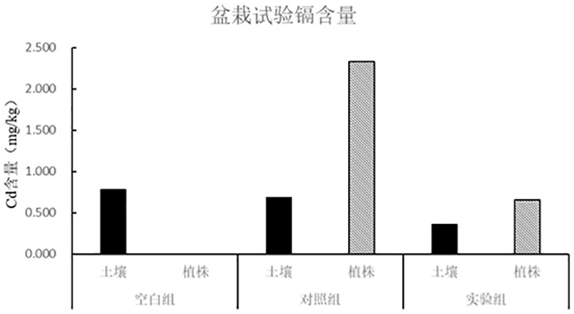 一种土壤镉钝化剂