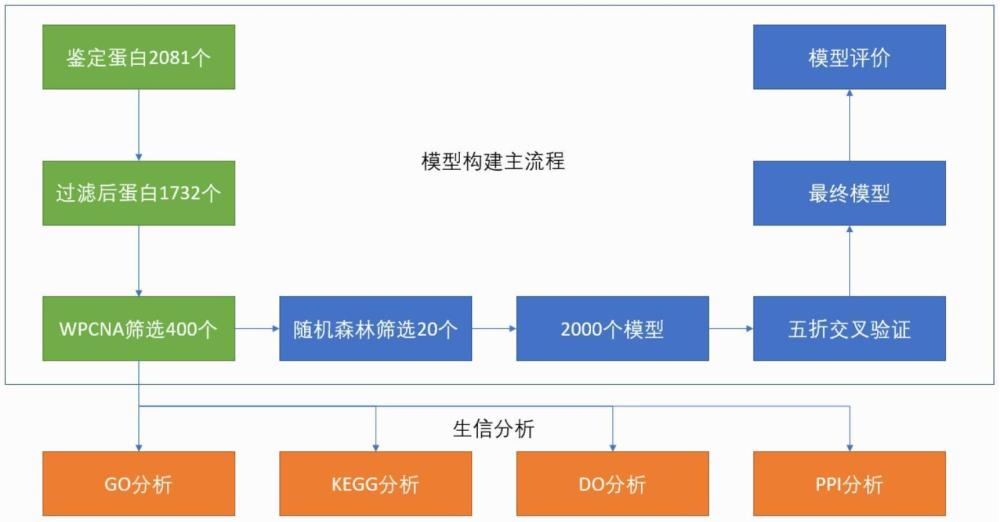 一種基于蛋白組學(xué)檢測血清標(biāo)本建立輔助評估糖尿病腎病腎臟損傷進(jìn)展的分子模型及其構(gòu)建方法與應(yīng)用