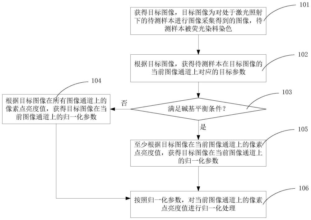 一種圖像亮度的歸一化處理方法、裝置及電子設(shè)備與流程