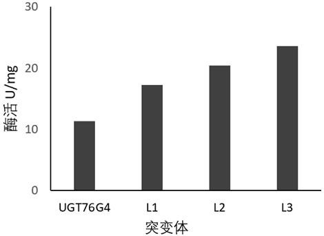 一種糖基轉移酶UGT76G4突變體及其應用的制作方法