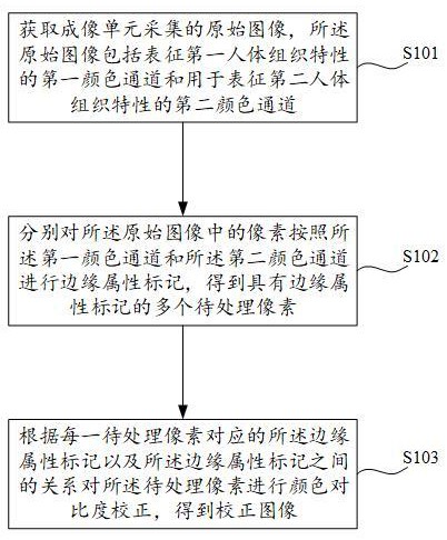 內(nèi)窺鏡圖像校正方法和電子設(shè)備與流程