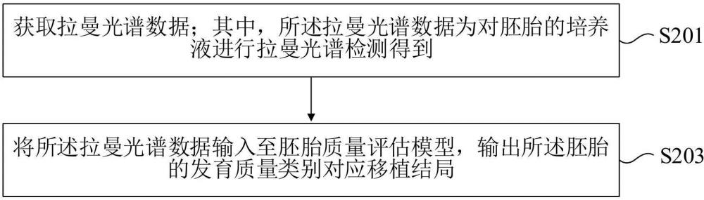 胚胎發(fā)育質(zhì)量的評(píng)估方法、裝置、計(jì)算機(jī)設(shè)備和存儲(chǔ)介質(zhì)