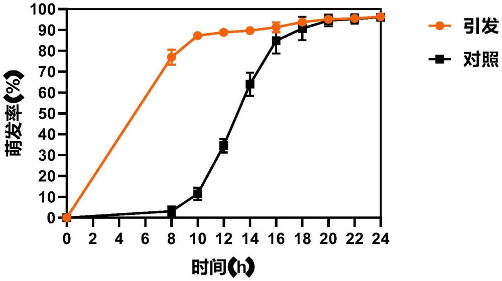 一種西瓜種子活力分子標(biāo)志物和應(yīng)用的制作方法