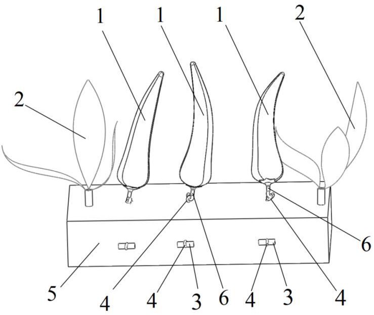 一種用于辣椒采摘試驗的裝置