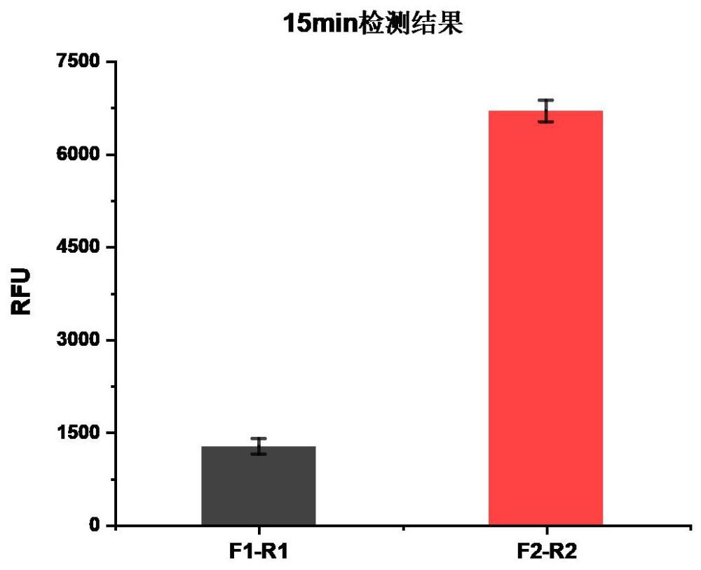 用于檢測(cè)畢氏腸微孢子蟲(chóng)的核酸組合、試劑和應(yīng)用的制作方法