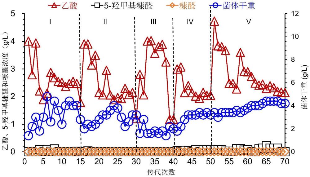 一株降解高濃度抑制物的生物脫毒菌株及其活力維持方法