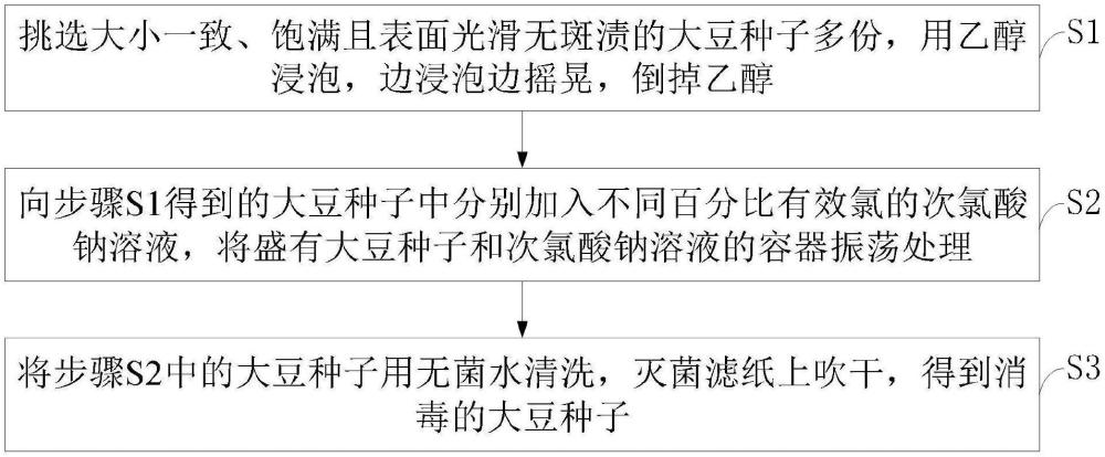 一種植物組織培養(yǎng)用大豆種子的消毒方法及應(yīng)用與流程