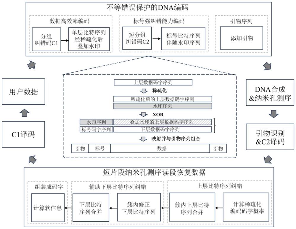 一種納米孔測序快速讀出短片段的DNA存儲方法