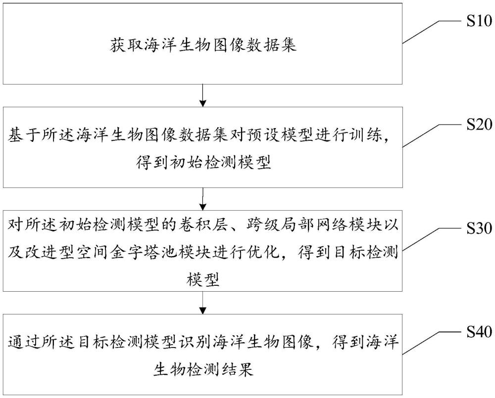 海洋生物檢測方法、裝置、設備及存儲介質
