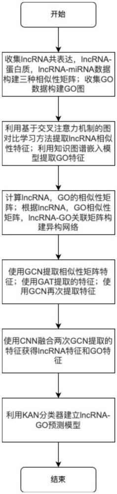 基于圖注意力的lncRNA功能預測方法、存儲介質及設備