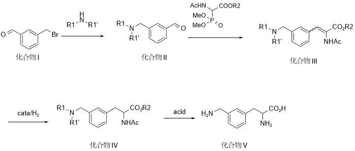 一種手性間氨基亞甲基苯丙氨酸衍生物的合成方法與流程