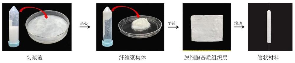 一種脫細(xì)胞基質(zhì)管狀材料及其制備方法