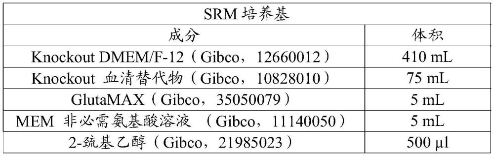 多巴胺能神經(jīng)元前體細(xì)胞的標(biāo)志物及其應(yīng)用的制作方法