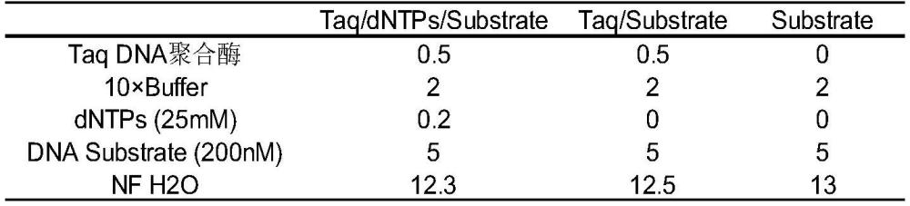 化學(xué)修飾熱啟動(dòng)Taq DNA聚合酶及其制備工藝和應(yīng)用的制作方法