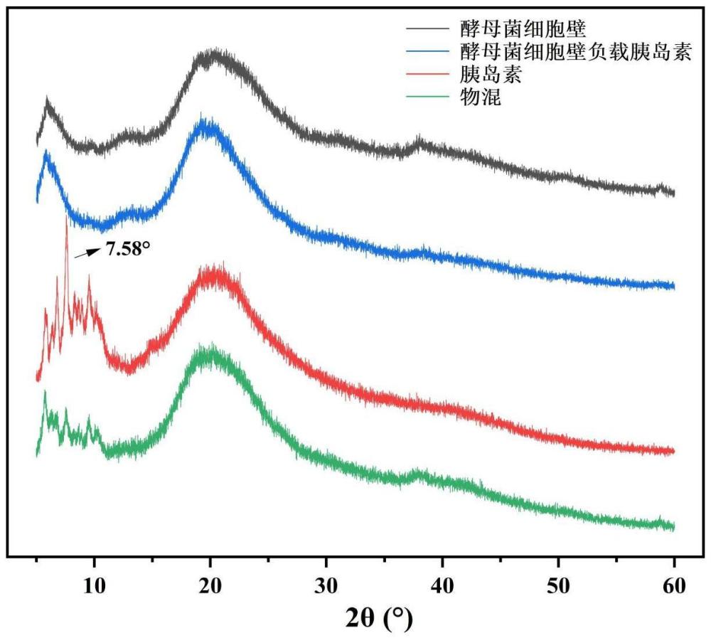 一種口服制劑及其制備方法和藥物與流程