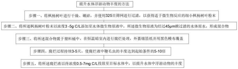 一種利用楓楊樹葉腐爛液提升水體浮游動物豐度的方法