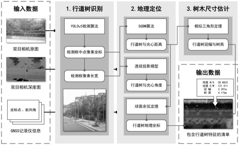 一種基于雙目視覺的行道樹三維建模與定位方法及系統(tǒng)