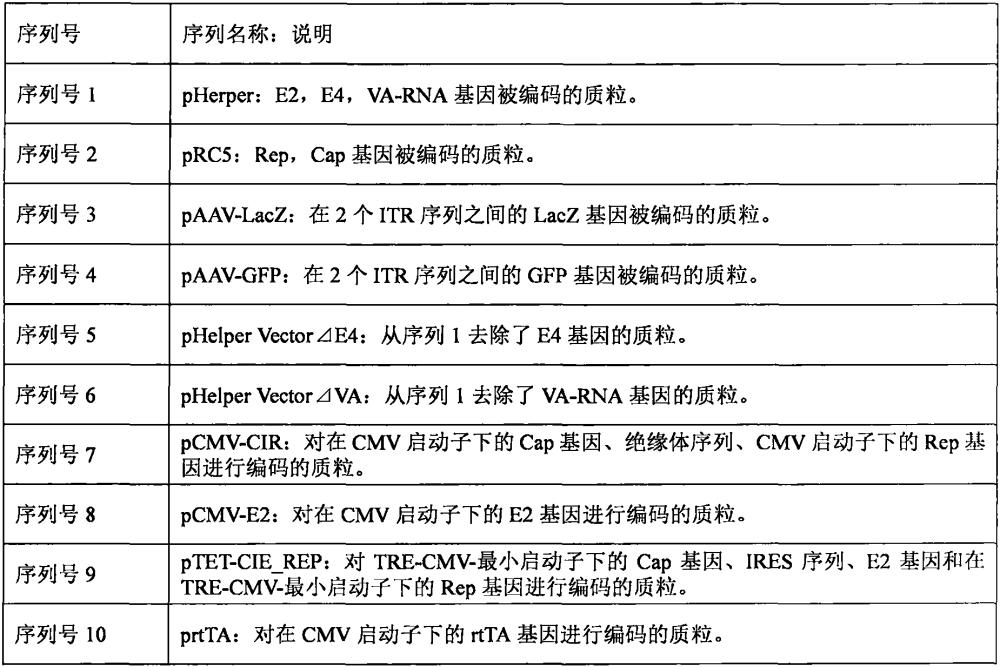 生產(chǎn)細胞、生產(chǎn)細胞的制造方法及腺相關(guān)病毒的制造方法與流程