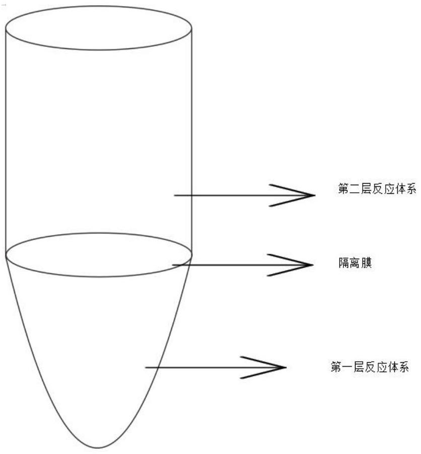 一種單孔檢測多種呼吸道病原體核酸的試劑盒及其預使用方法與流程