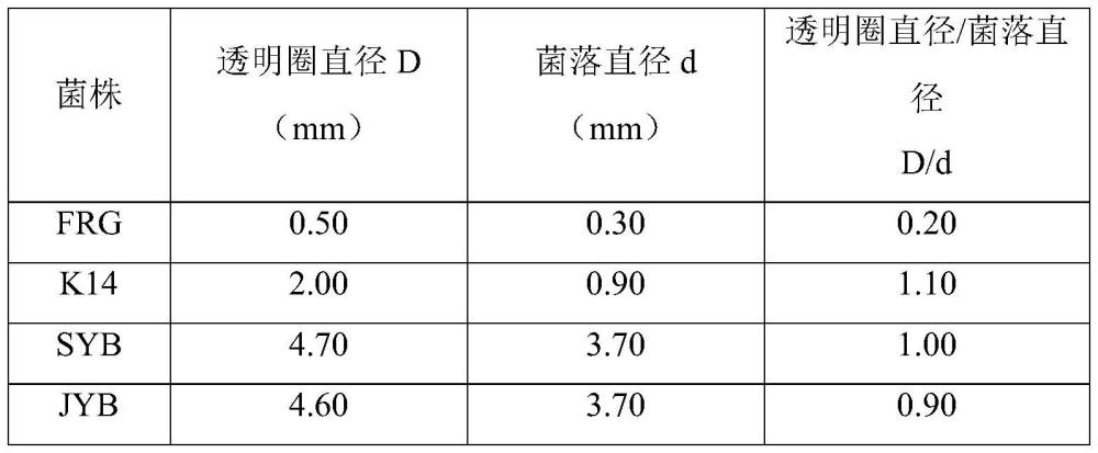 廚余垃圾快速生物降解復合菌劑及其制備和應用的制作方法