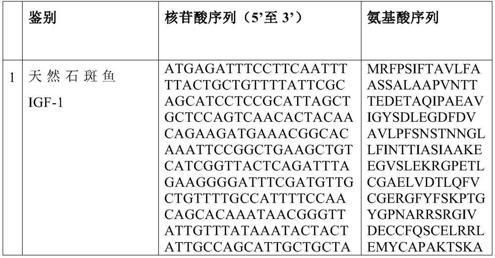 基因工程酵母細胞、其產生的重組蛋白及其應用的制作方法