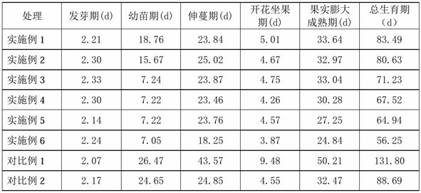 一種基于植物工廠的甜瓜無土栽培方法